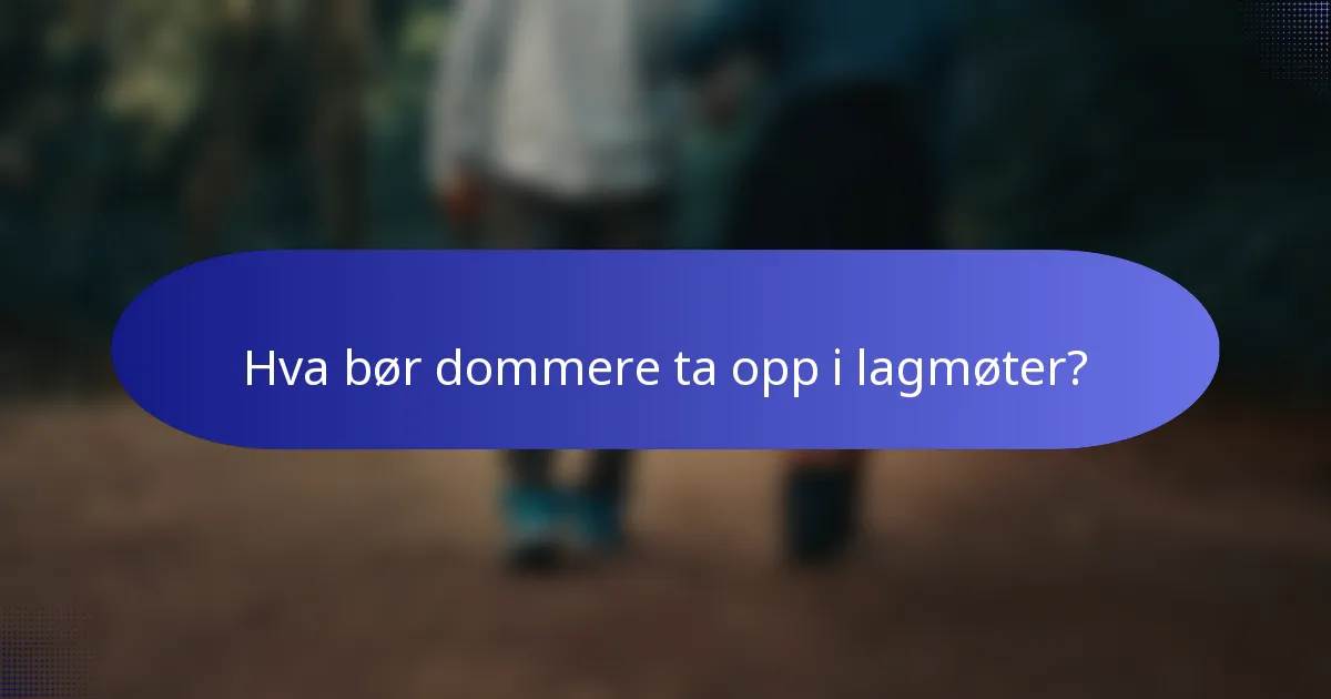 Hva bør dommere ta opp i lagmøter?